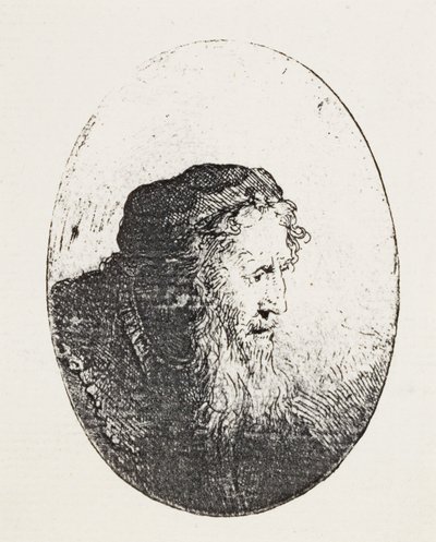 Bearded Old Man by Ferdinand Bol